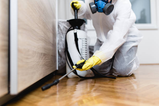 Best Pest Control Treatment  in Coeur Dalene, ID