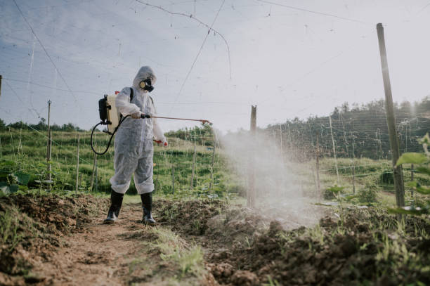 Best Local Pest Control Services  in Coeur Dalene, ID