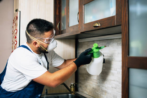 Reliable Coeur Dalene, ID Pest Control Solutions