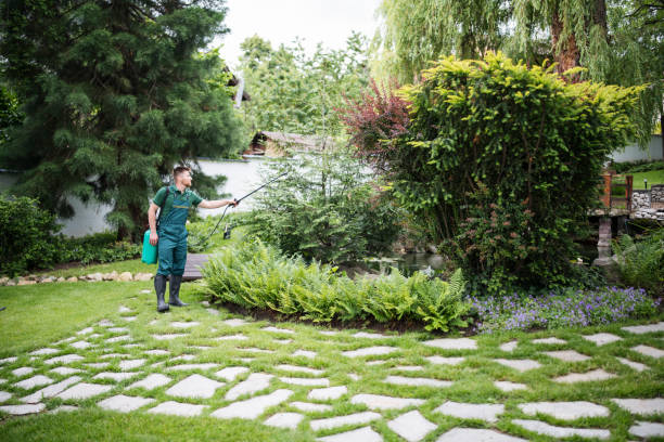 Best Cockroach Control Services  in Coeur Dalene, ID