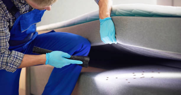 Best Bed Bug Extermination  in Coeur Dalene, ID