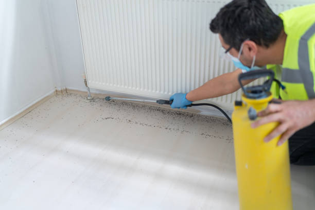 Best Pest Inspection Near Me  in Coeur Dalene, ID