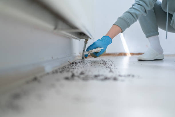 Pest Control for Restaurants in Coeur Dalene, ID